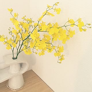 玄関/入り口/フラワー/花瓶のインテリア実例 - 2016-01-21 18:29:41