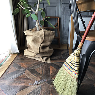 ホコリ/朝の風景/DIYキャビネット/キャビネットDIY/観葉植物のある暮らし...などのインテリア実例 - 2020-06-26 08:33:15