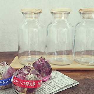 球根 ヒヤシンス水栽培のおしゃれなアレンジ 飾り方のインテリア実例 Roomclip ルームクリップ