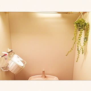 賃貸 ハンギングバスケットのインテリア レイアウト実例 Roomclip ルームクリップ