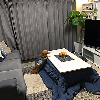 こたつとみかんのインテリア実例 Roomclip ルームクリップ こたつとみかんのインテリア実例 Roomclip ルームクリップ