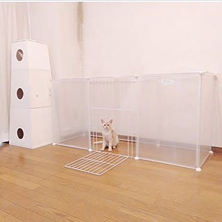 壁/天井/キャットウォーク作成中/❤︎受賞❤︎/❤︎受賞景品❤︎/キャットフェンス...などのインテリア実例 - 2019-10-07 19:31:01