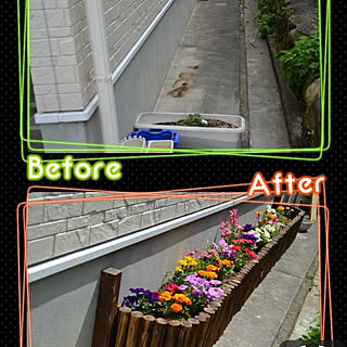 花壇 手作り コンクリートの上のインテリア実例 Roomclip ルームクリップ 花壇 手作り コンクリートの上のインテリア実例 Roomclip ルームクリップ