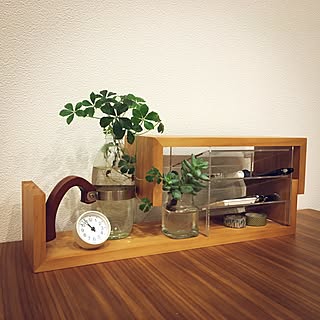 机/水栽培/多肉植物/アクリルケース/文房具...などのインテリア実例 - 2016-11-28 23:04:08