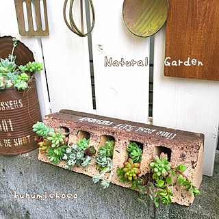 玄関/入り口/多肉植物/多肉の寄せ植え/グッデイならできる♪/ロハスフェスタ/ネルソルのインテリア実例 - 2016-04-25 07:45:52