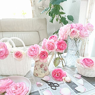 バラ 薔薇好き のインテリア実例 Roomclip ルームクリップ バラ 薔薇好き のインテリア実例 Roomclip ルームクリップ