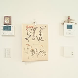 セリア 押し花風ポスターのインテリア実例 Roomclip ルームクリップ