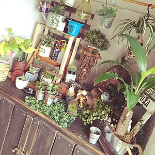 !!!!!アホ仲間!!!!!/ジブリフリーク/後ほどゆっくりお邪魔します♡/押し逃げばかりでごめん( ノдヾ)/いいね!ありがとうございます♪...などのインテリア実例 - 2016-07-09 08:18:31