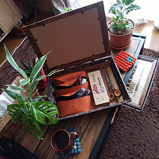机/10000人の暮らし/狭い家/カッコ良くしたい*****/観葉植物のある暮らし...などのインテリア実例 - 2018-02-12 11:45:40