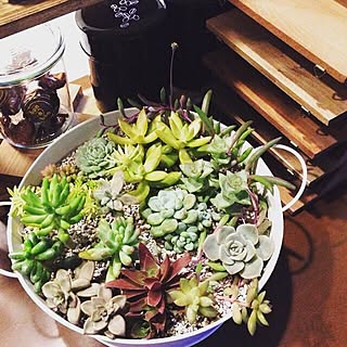 寒さ対策 今日もたくさん投稿してしまいすいません のインテリア実例 Roomclip ルームクリップ 寒さ対策 今日もたくさん投稿してしまいすいません のインテリア実例 Roomclip ルームクリップ