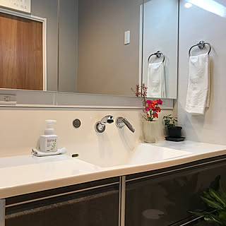 タカラスタンダード洗面台 エリーナのインテリア実例 Roomclip ルームクリップ