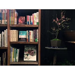 壁紙屋本舗 渋谷のまとめページ Roomclip ルームクリップ 壁紙屋本舗 渋谷のまとめページ Roomclip ルームクリップ