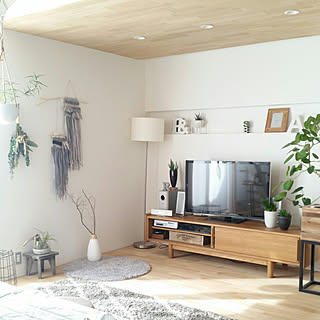 リビング 枯れ枝のインテリア実例 Roomclip ルームクリップ