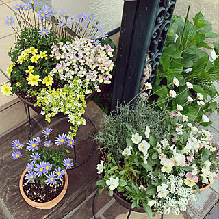 墨田の花火のインテリア実例 Roomclip ルームクリップ