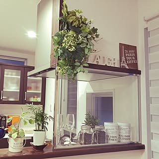 観葉植物 スタバコーヒーのおしゃれなアレンジ 飾り方のインテリア実例 Roomclip ルームクリップ