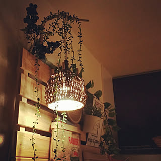 フェイクグリーン 手作りランプのインテリア実例 Roomclip ルームクリップ フェイクグリーン 手作りランプのインテリア実例 Roomclip ルームクリップ