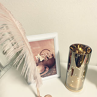 フェザーペンのインテリア実例 Roomclip ルームクリップ