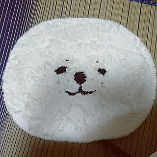 部屋全体/マット/ビションフリーゼのインテリア実例 - 2018-09-08 17:51:36