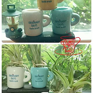 玄関/入り口/花のある暮らし/いいね!押し逃げばかりでごめんなさい。/拙いコメントゴメン(>_<)ゞ/植物のある暮らし...などのインテリア実例 - 2017-06-11 17:05:57