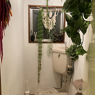 ダイソー トイレの窓のインテリア実例 Roomclip ルームクリップ