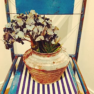 玄関/入り口/アンティークスツール/紫陽花ドライ♪/多肉さん/古古缶...などのインテリア実例 - 2014-06-16 06:28:36