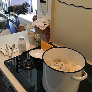 キッチン/無印良品 アクリル仕切りスタンド/松尾ミユキ/鍋つかみ/コンロカバー...などのインテリア実例 - 2018-08-26 14:28:39