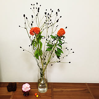 花瓶 ケイトウのインテリア実例 Roomclip ルームクリップ