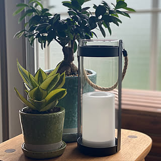 サンスベリアハニーのインテリア実例 Roomclip ルームクリップ