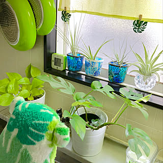 Craftholic コンクリート風壁紙のまとめページ Roomclip ルームクリップ Craftholic コンクリート風壁紙のまとめページ Roomclip ルームクリップ