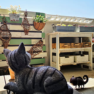 チェシャ猫のインテリア実例 Roomclip ルームクリップ チェシャ猫のインテリア実例 Roomclip ルームクリップ