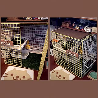 棚/ダイソー/猫ケージ自作/黒猫/狭小住宅...などのインテリア実例 - 2017-07-02 17:40:24