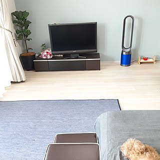 犬の水飲み場のインテリア実例 Roomclip ルームクリップ
