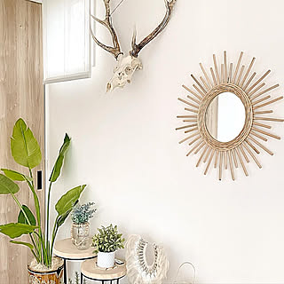 鹿の頭蓋骨のインテリア実例 Roomclip ルームクリップ 鹿の頭蓋骨のインテリア実例 Roomclip ルームクリップ