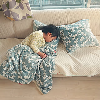 ダイソーのブランケットのインテリア実例 Roomclip ルームクリップ