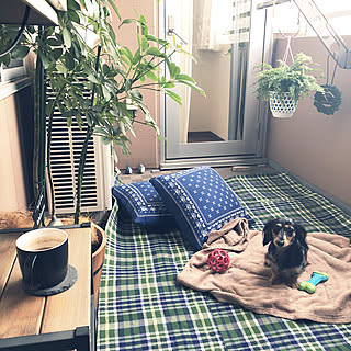 ニトリ 虫ぴんのまとめページ Roomclip ルームクリップ