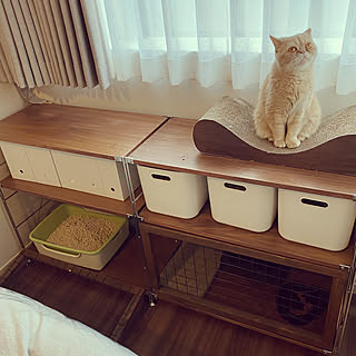 キャットケージ手作りのインテリア実例 Roomclip ルームクリップ キャットケージ手作りのインテリア実例 Roomclip ルームクリップ