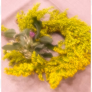 野草リースのインテリア実例 Roomclip ルームクリップ