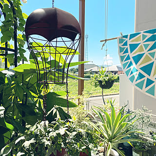 お歳暮 セトクラフト シルエットソーラー Tree Cat Si 1954 900 高さ 約44 7cm 20201114142425 00061 Mocaヤフーショップ 通販 Yahoo ショッピング 全国宅配無料 Cfmi Tg