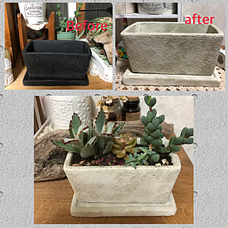 植木鉢ペイント/ターナーミルクペイントスノーホワイト/ターナープラスターメディウム/ターナーミルクペイント ヘンプベージュ/多肉寄せ植え...などのインテリア実例 - 2020-01-19 23:52:28