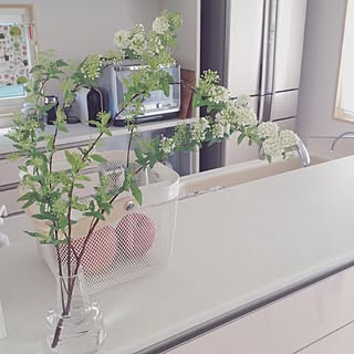 キッチン/イケア/holmegaard flora/HOLMEGAARD/ホルムガード フラワーベース...などのインテリア実例 - 2016-02-26 21:45:10