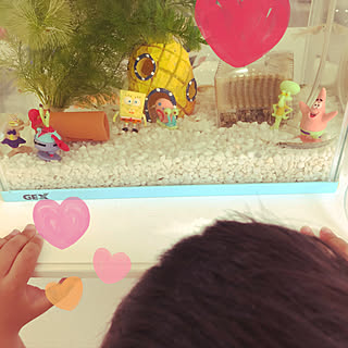 スポンジボブ 水槽 アクアリウムのインテリア実例 Roomclip ルームクリップ スポンジボブ 水槽 アクアリウムのインテリア実例 Roomclip ルームクリップ