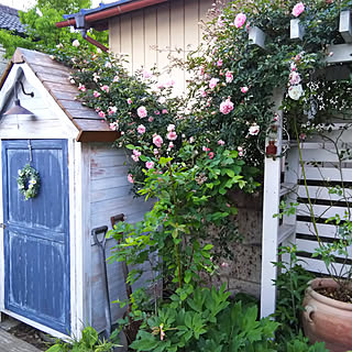 ガーデン/庭/ガーデニング/薔薇/バラ...などのインテリア実例 - 2019-05-24 20:39:56