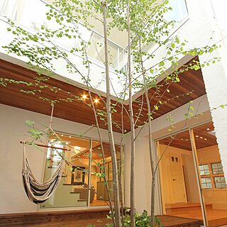 中庭 シンボルツリーのインテリア実例 Roomclip ルームクリップ