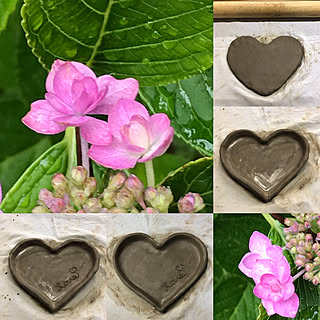 ハート/はーと/小物入れ/お皿/ハート形お皿...などのインテリア実例 - 2019-06-15 19:25:42