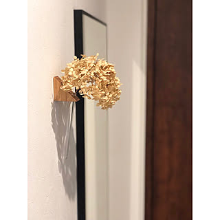 アナベル 切り花のインテリア実例 Roomclip ルームクリップ アナベル 切り花のインテリア実例 Roomclip ルームクリップ