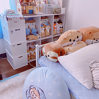 可愛い嘘のカワウソのインテリア実例 Roomclip ルームクリップ