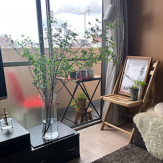 ベランダ/築40年賃貸/Small space living/観葉植物/IKEA...などのインテリア実例 - 2019-05-31 08:34:18
