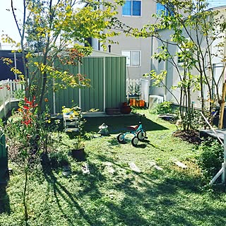 お庭 庭木のインテリア実例 Roomclip ルームクリップ