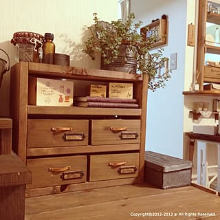 棚/小引き出し/室内グリーン/ピレア/DIY 棚...などのインテリア実例 - 2013-01-19 19:25:30