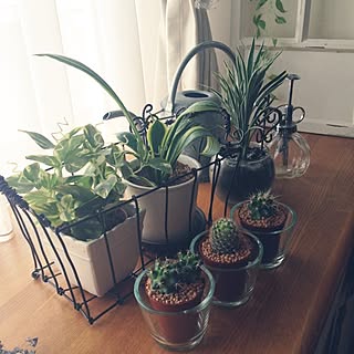 机/サボテン♥︎/IKEA/昼間の写真は暗くなる>_<のインテリア実例 - 2014-08-30 11:47:10